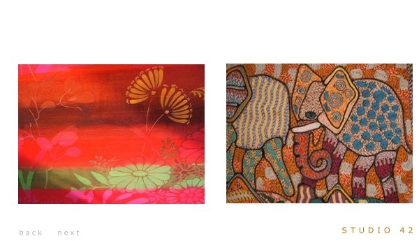 indian elephant and textile